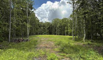00 Gold Hill Rd, Atkins, AR 72823