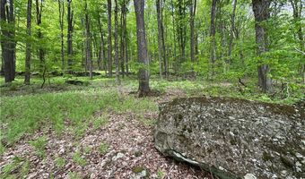 Woodland Hills Road, Andes, NY 13731