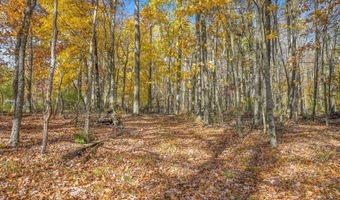 419 Algerine St, Afton, NY 13730