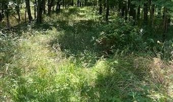 65 Lakeside Rdg N, Adair, OK 74330