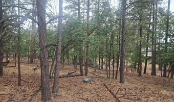 74 Lot Silvertip Trl 5, Alto, NM 88312