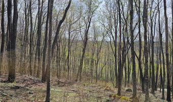 65 Rippling Waters Trl, Banner Elk, NC 28604