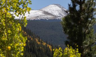 1139 BOREAS PASS Rd, Breckenridge, CO 80424