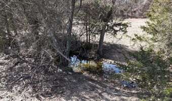 Rr 4 Box 1307-A, Ava, MO 65608