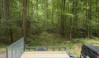 9999 Countryside Est, Barnardsville, NC 28709