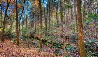54 E Ridge Rd, Allardt, TN 38504