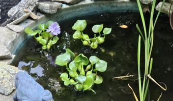 36 Pearson Rd, Alton, NH 03809