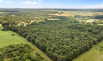 County Road 5-411, Ava, MO 65608