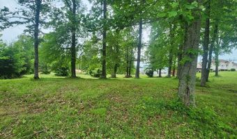 Overlook Ridge, Big Sandy, TN 38221