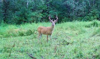 0000 280th Pl, Aitkin, MN 56431