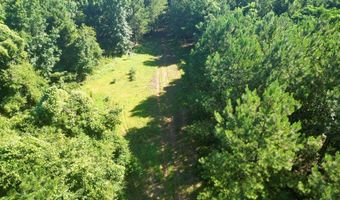 AL HWY 223, Banks, AL 36005