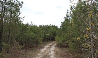 95 Herman Bell Rd, Mauk, GA 31058