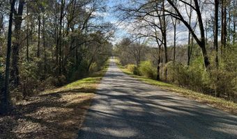 County Road 72, Ariton, AL 36311