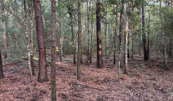 Lower Bay Road, Bay St. Louis, MS 39520