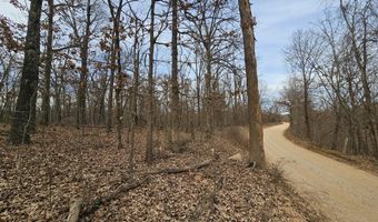 65 Acres Plainview Rd, Anderson, MO 64831