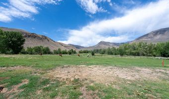 9885 Challis Creek Rd, Challis, ID 83226
