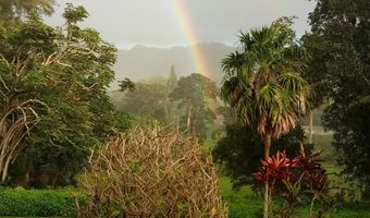 597 PUUOPAE Rd, Kapaa, HI 96746