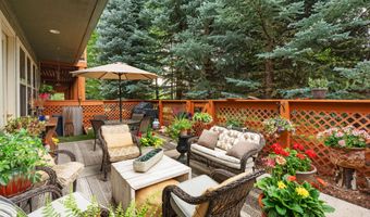 541 Evans Ct, Basalt, CO 81621