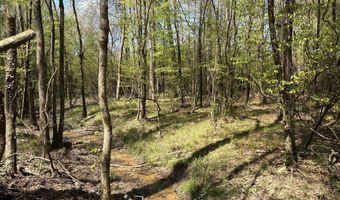 SW Auburn Drive, Bogue Chitto, MS 39629