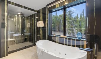 316 N Fuller Placer Rd, Breckenridge, CO 80424