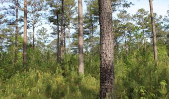 Ruffner Road 00, Barnesville, GA 30204