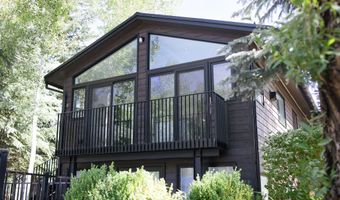 950 E Durant Ave 4, Aspen, CO 81611