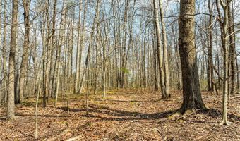 E Captina Highway Road, Alledonia, OH 43902