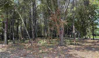 TBD S Rosemary Ave, Andrews, SC 29510