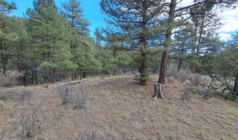 1077 Roland Dr Lot 3, Bailey, CO 80421