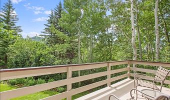 209 Larkspur Ln, Aspen, CO 81611