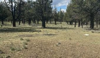 227 County Rd 243 A Hilltop, Alturas, CA 96101