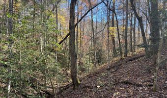 523 Honey Creek Loop Rd, Allardt, TN 38504