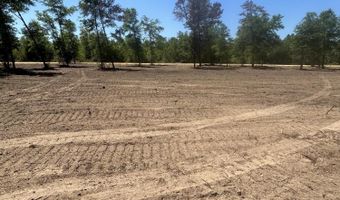 Empire Avenue, Alford, FL 32420