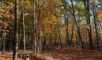 999 Porcupine Trl, Aitkin, MN 56431