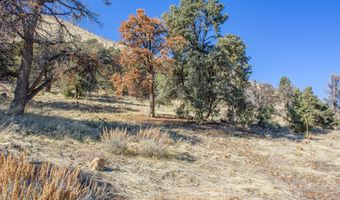 3221 Reese Ln, Gardnerville, NV 89410