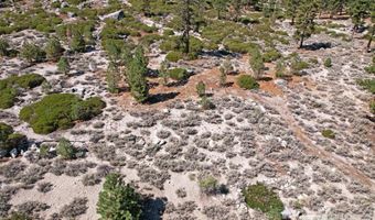 168 Five Creek Rd Lot 3, Gardnerville, NV 89460