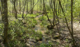 Steve Brown Road, Bean Station, TN 37708