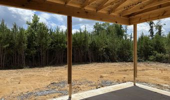 Lot 1 Silver Dollar, Barnesville, GA 30204