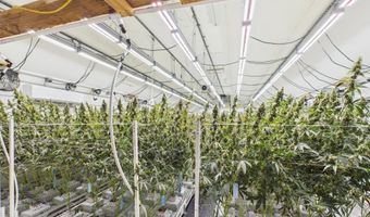 Fickle Hill Road, Arcata, CA 95521