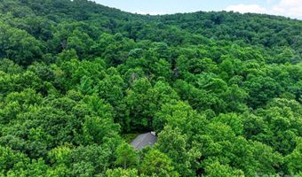 12 Beech Tree Ln, Asheville, NC 28804