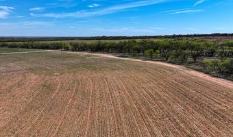 Tract 1 TBD PVT RD 3561, Anson, TX 79501