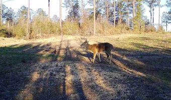 1139 W CR 19, Ariton, AL 36311