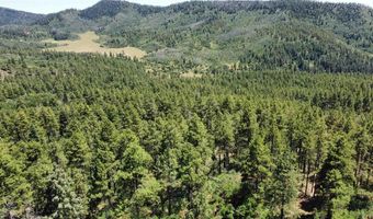 140 Jackalope Dr, Bayfield, CO 81122