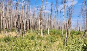 0 Crystal Mountain Rd, Bellvue, CO 80512