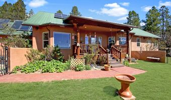 39 Martin Luther King Jr Blvd, Angel Fire, NM 87710