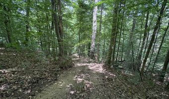 643 Pine Grove Rd, Beattyville, KY 41311