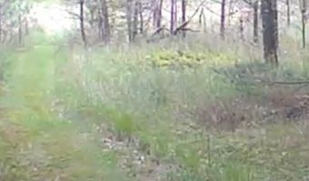 2479 9th Dr, Adams, WI 53910