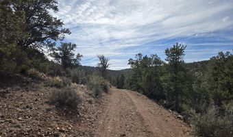 38125 N Snake Rd, Ash Fork, AZ 86320