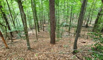 Tbd Bahalia Rd, Brookhaven, MS 39601