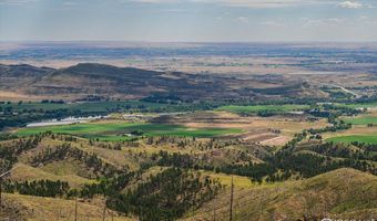 0 Pine Acres, Bellvue, CO 80512